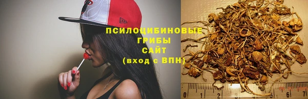 крисы Алексеевка