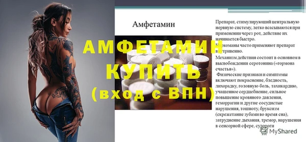 стаф Алзамай