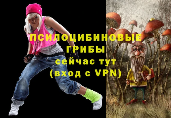 крисы Алексеевка