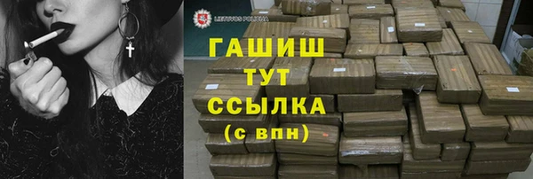 стаф Алзамай