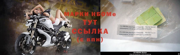 стаф Алзамай