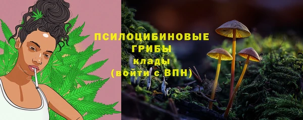 стаф Алзамай