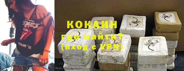 стаф Алзамай